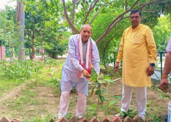 🌱 विश्व पर्यावरण दिवस (5 जून) विशेष 🌱